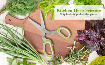 Herb Scissors  Stainless Steel 5 Blade Kitchen Shears Household Vegetable Cutter with Cover Multifunctional Kitchen Gadgets